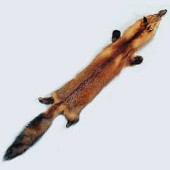 Buy High Quality 1st Class Red Fox Pelt Real Wild Fox Furs Genuine Online  in India 